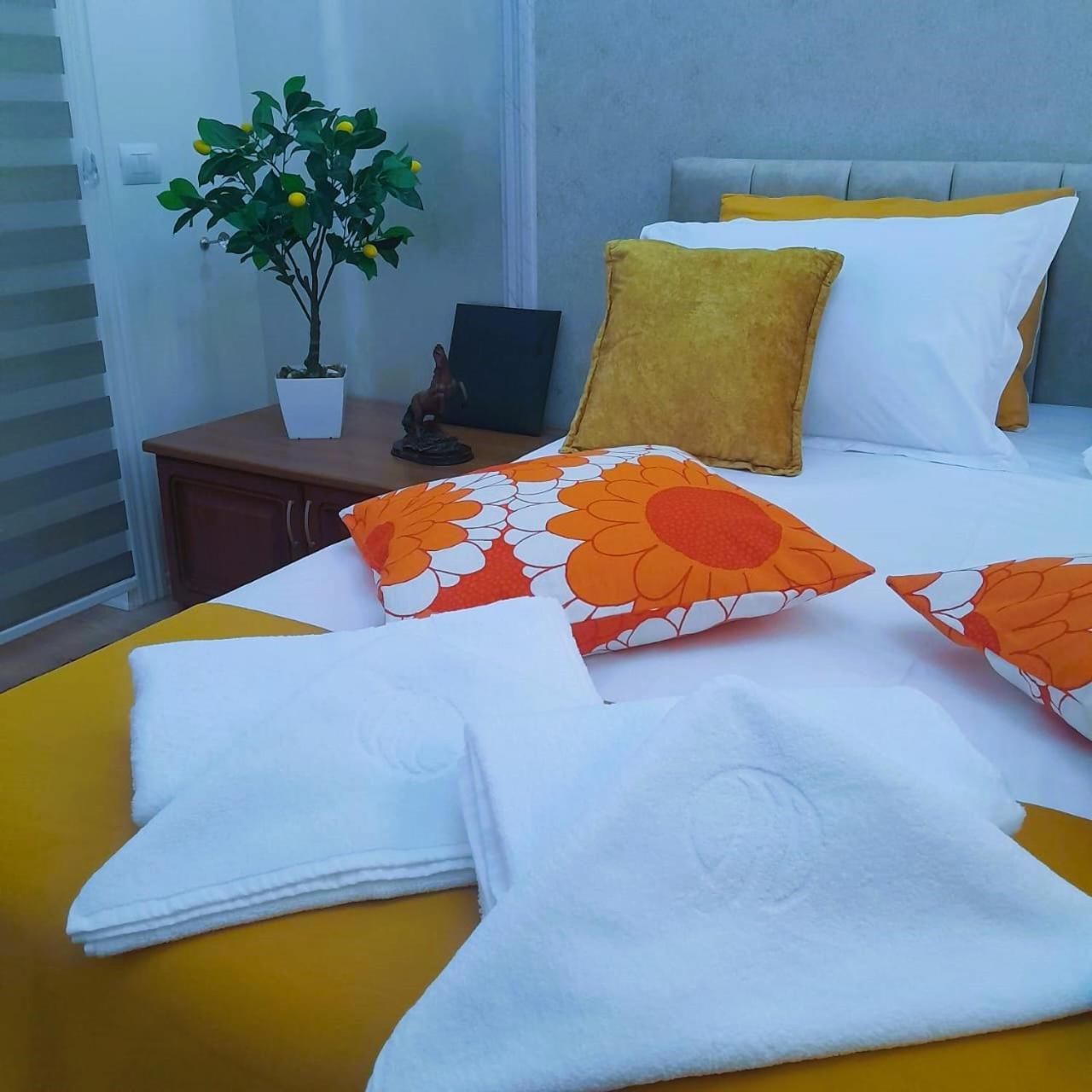 Bani'S Cozy Lovely Apt 地拉那 外观 照片