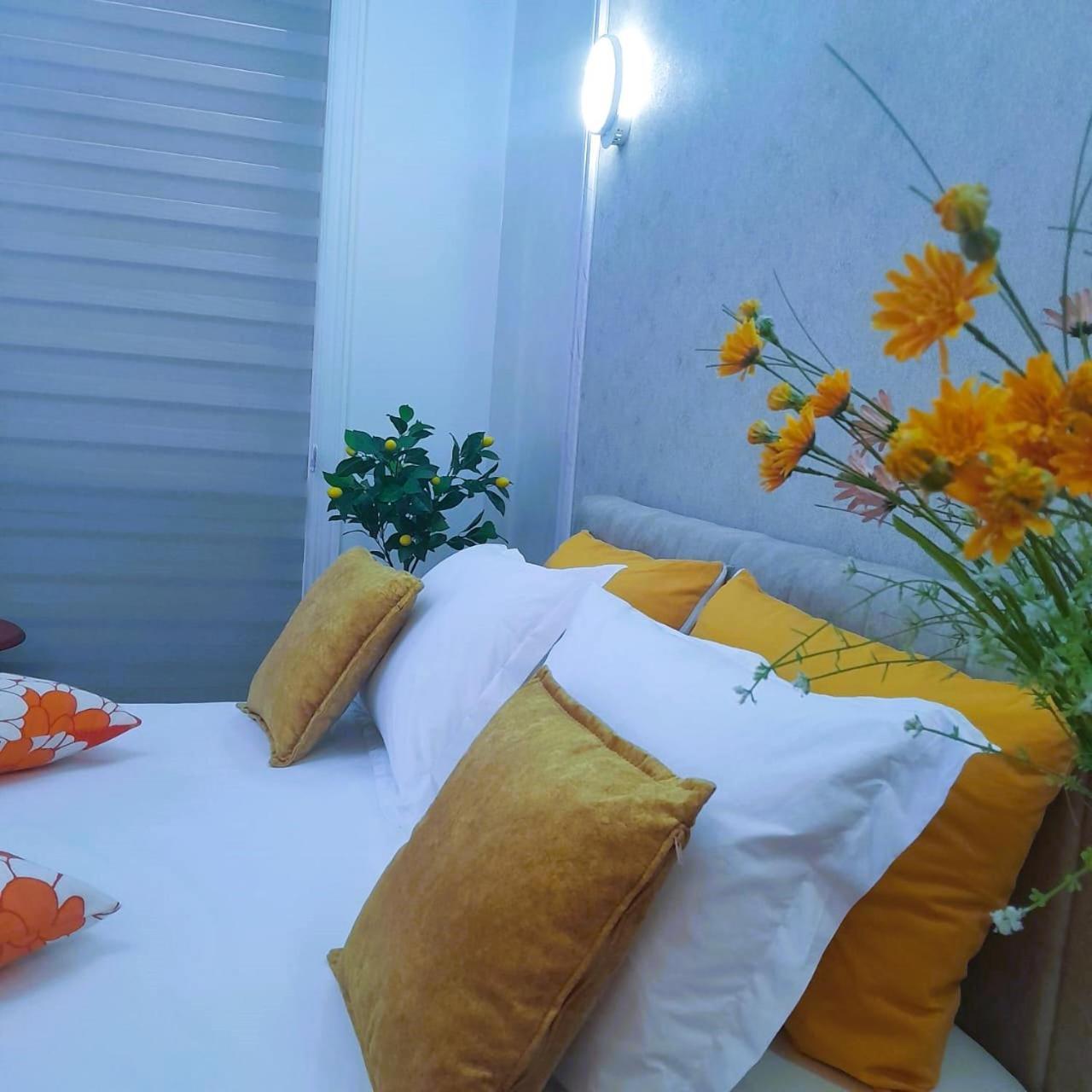 Bani'S Cozy Lovely Apt 地拉那 外观 照片